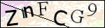 Human Confirmation Code (Captcha)