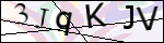 Human Confirmation Code (Captcha)