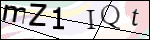 Human Confirmation Code (Captcha)