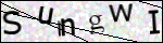 Human Confirmation Code (Captcha)