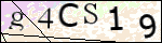 Human Confirmation Code (Captcha)