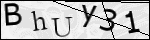 Human Confirmation Code (Captcha)
