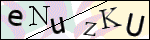 Human Confirmation Code (Captcha)
