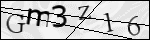Human Confirmation Code (Captcha)