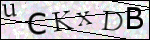 Human Confirmation Code (Captcha)