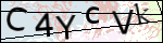 Human Confirmation Code (Captcha)