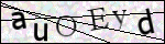Human Confirmation Code (Captcha)