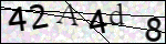 Human Confirmation Code (Captcha)