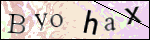 Human Confirmation Code (Captcha)
