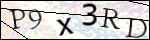 Human Confirmation Code (Captcha)