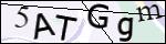Human Confirmation Code (Captcha)