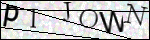 Human Confirmation Code (Captcha)