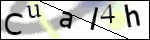 Human Confirmation Code (Captcha)
