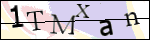 Human Confirmation Code (Captcha)