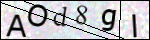 Human Confirmation Code (Captcha)