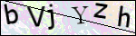 Human Confirmation Code (Captcha)