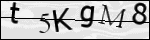 Human Confirmation Code (Captcha)