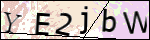 Human Confirmation Code (Captcha)