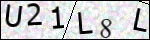 Human Confirmation Code (Captcha)