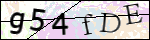 Human Confirmation Code (Captcha)