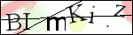 Human Confirmation Code (Captcha)