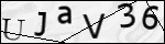Human Confirmation Code (Captcha)