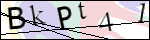 Human Confirmation Code (Captcha)