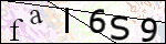 Human Confirmation Code (Captcha)