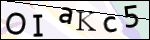 Human Confirmation Code (Captcha)