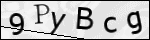 Human Confirmation Code (Captcha)