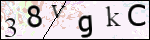 Human Confirmation Code (Captcha)