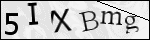 Human Confirmation Code (Captcha)