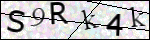 Human Confirmation Code (Captcha)