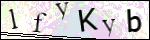 Human Confirmation Code (Captcha)