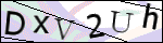 Human Confirmation Code (Captcha)