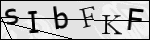 Human Confirmation Code (Captcha)