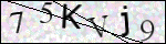Human Confirmation Code (Captcha)