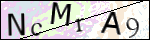 Human Confirmation Code (Captcha)