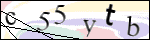 Human Confirmation Code (Captcha)