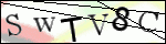 Human Confirmation Code (Captcha)