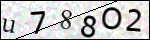 Human Confirmation Code (Captcha)