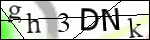 Human Confirmation Code (Captcha)