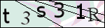 Human Confirmation Code (Captcha)