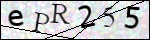 Human Confirmation Code (Captcha)