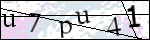 Human Confirmation Code (Captcha)
