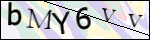 Human Confirmation Code (Captcha)