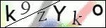 Human Confirmation Code (Captcha)