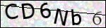 Human Confirmation Code (Captcha)