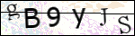 Human Confirmation Code (Captcha)