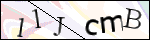Human Confirmation Code (Captcha)